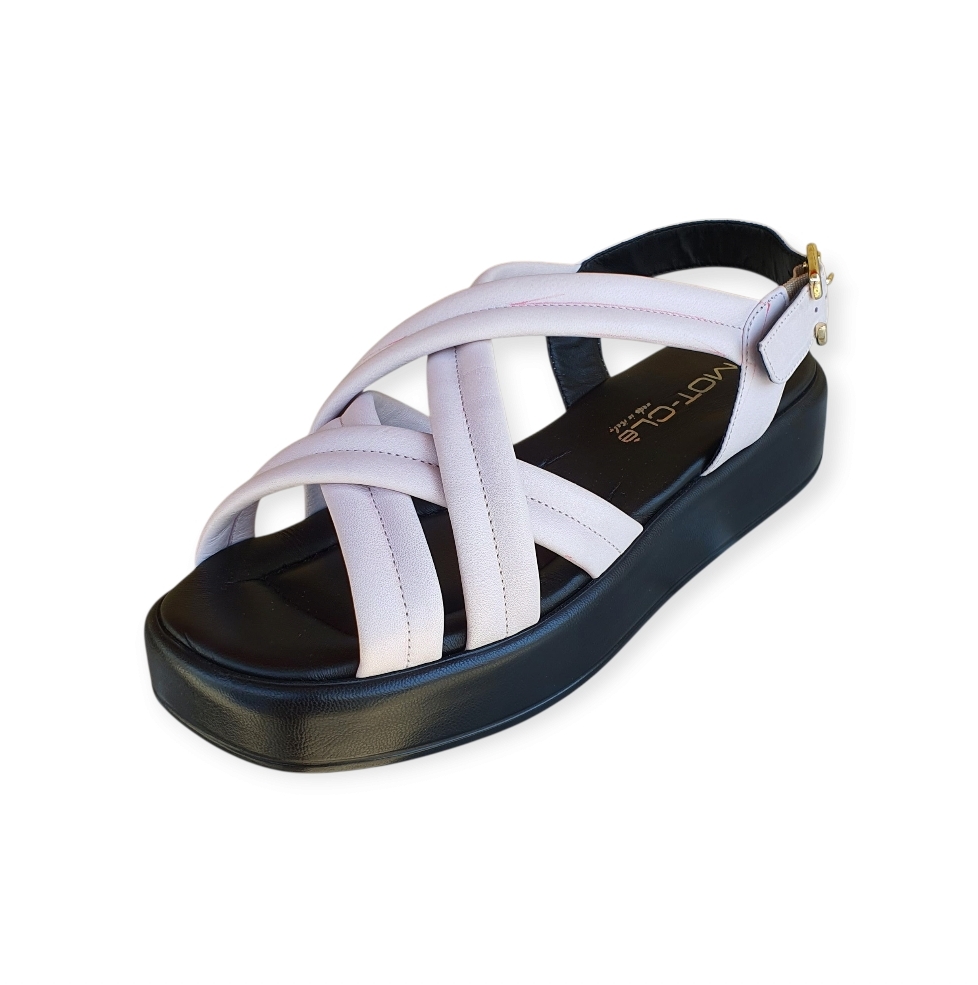 2031 Savana provenza